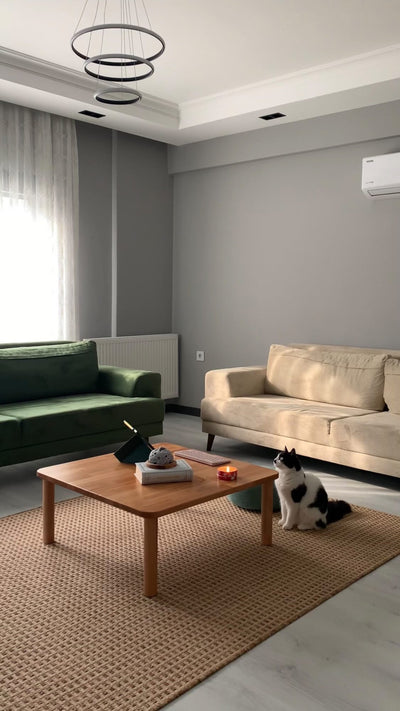 Gri duvarlı salonda ahşap orta sehpa; çevresinde yeşil ve krem kanepeler, halının üzerinde kedi