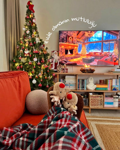 Yılbaşı ağacının yanında ahşap TV ünitesi; raflarında kitaplar, üstünde televizyon, önde kırmızı kanepe