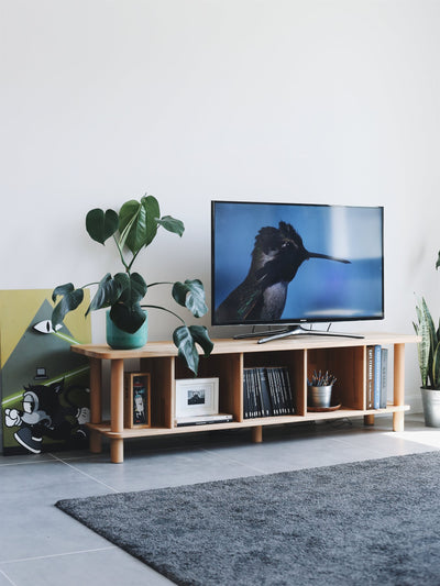 Beyaz duvar önünde açık raflı ahşap TV ünitesi; üstünde televizyon ve turkuaz saksıda deve tabanı, raflarda kitap ve çerçeveler