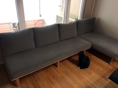 Pencere önünde gri minderli uzun ahşap bench; parke zeminde benchin altında oturan siyah kedi